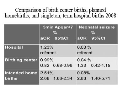 Homebirth research paper